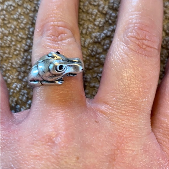 Dinosaur ring - Picture 4 of 6